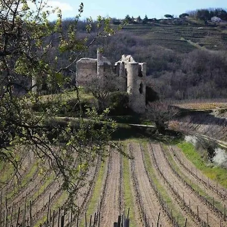 Pres Des Vignes *